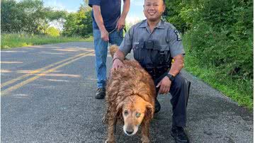 Policial em Nova York rasteja em tubulação de esgoto para resgatar Lilah, uma Golden Retriever de 13 anos que estava desaparecida - Foto: Reprodução/Facebook