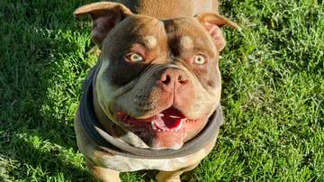 Foto Ilustrativa/Pixabay