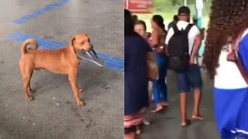 Reprodução/Redes Sociais