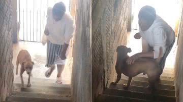 Reprodução/Instagram @maydobrigida