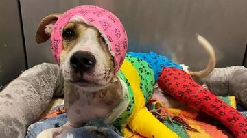 Reprodução / Redes Sociais