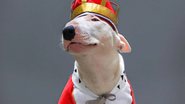 Reprodução / Redes Sociais