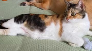 Reprodução/Instagram