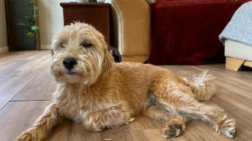 Reprodução / Redes Sociais