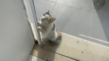 Reprodução / Redes Sociais