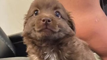 Reprodução / Redes Sociais