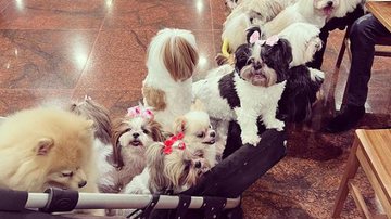 Reprodução / Redes Sociais