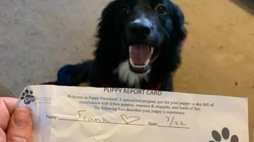 Reprodução / Redes Sociais