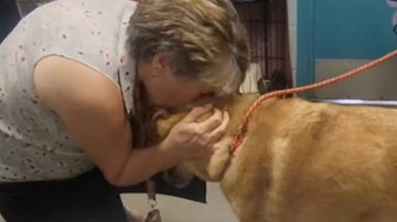 Reprodução / Redes Sociais