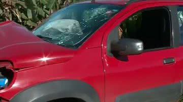 Reprodução/ Vídeo