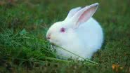 Reprodução/Youtube