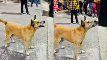 Reprodução / Redes Sociais