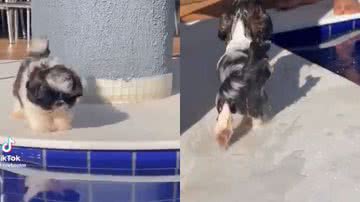 Reprodução / Redes Sociais