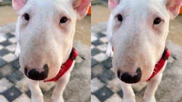 Reprodução / Redes Sociais