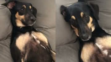 Reprodução / Redes Sociais