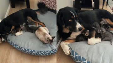 Reprodução / Redes Sociais