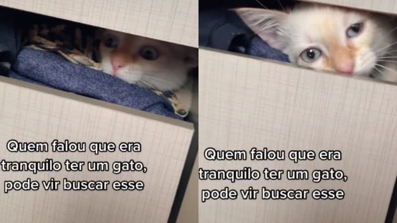 Reprodução / Redes Sociais