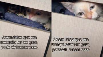 Reprodução / Redes Sociais