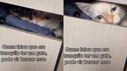 Reprodução / Redes Sociais