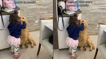 Reprodução / Redes Sociais