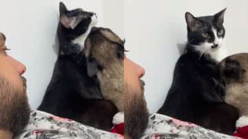 Reprodução / Redes Sociais