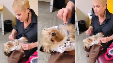 Reprodução / Redes Sociais