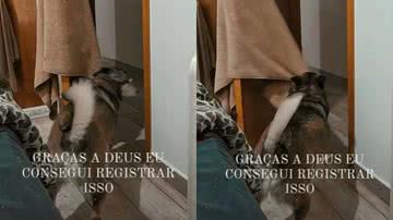 Reprodução / Redes Sociais