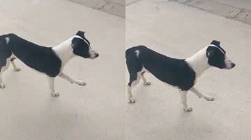 Reprodução / Redes Sociais