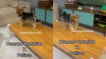 Reprodução / Redes Sociais