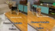 Reprodução / Redes Sociais
