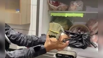 Polícia Civil/Ascom