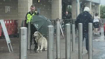 Reprodução / Redes Sociais