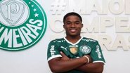 Fabio Menotti / Ag. Palmeiras
