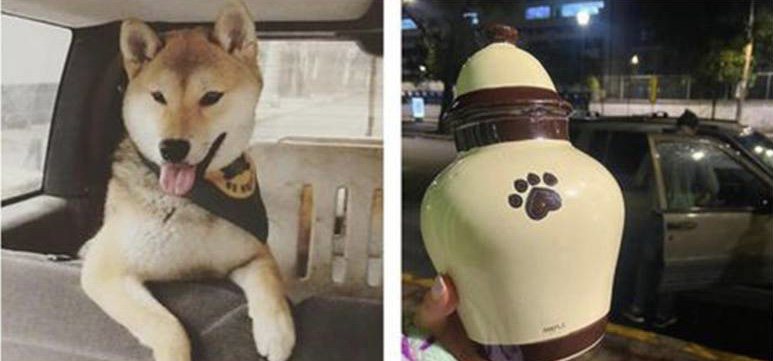 Reprodução/Instagram (@adriwarhol)
