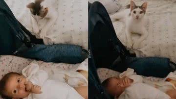 Reprodução/TikTok @manoellanoroes