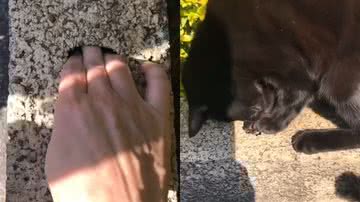 Reprodução/TikTok @luhmeira7