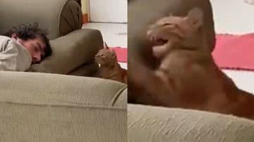 Reprodução/TikTok @jorge37422