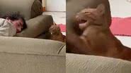 Reprodução/TikTok @jorge37422