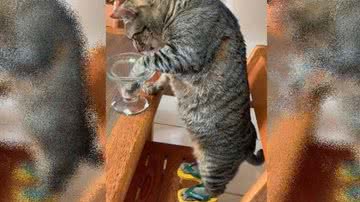 Reprodução vídeo instagram