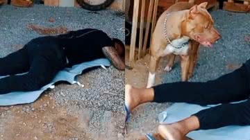 Reprodução/TikTok @pitbulldraxx