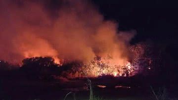 Reprodução/ Tv Globo