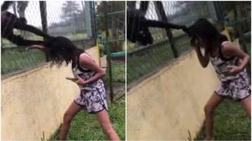 Reprodução: Redes sociais