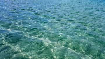 Divulgação / vanessaobrzut - Pixabay