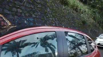 Reprodução / TV Bahia