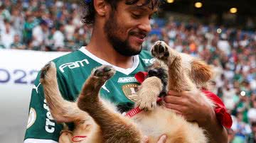 Divulgação/Palmeiras/Fabio Menotti