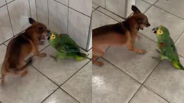 Reprodução/Instagram @ninaespike