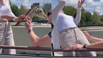 Reprodução/TikTok @montserratcox