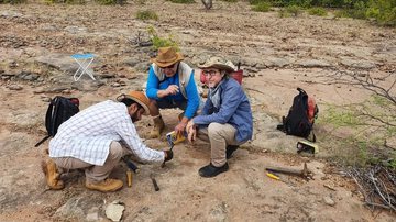 Pesquisadores da UFPE identificaram dinossauro mais antigo descoberto no nordeste brasileiro - Universidade Federal de Pernambuco