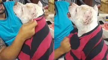 Reprodução/TikTok @anafreitas90