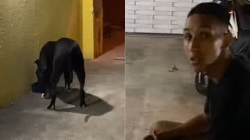 Reprodução/TikTok @anagabyii